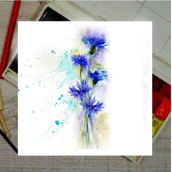 Василек акварель