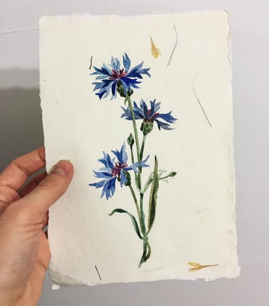 Васильки маркерами