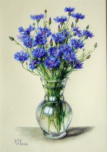 Васильки акварелью