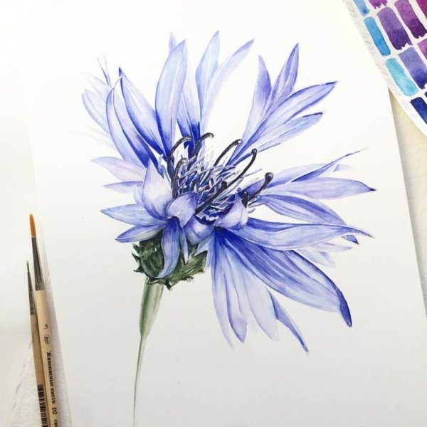 Костанди поле Васильков картины