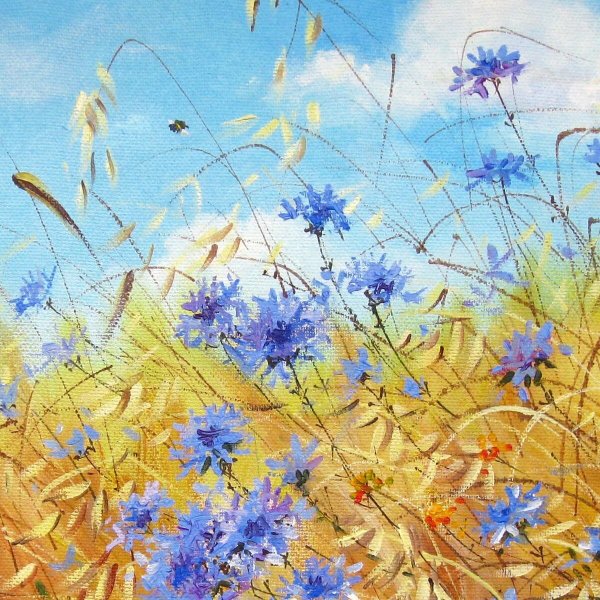 Полевые цветы для рисования