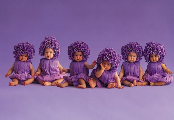 Анна Геддес дети цветы