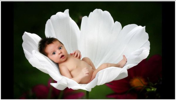 Дружба народов дети