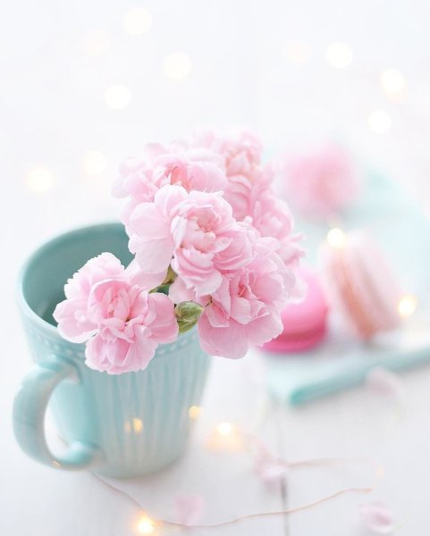 Цветы в пастельных тонах