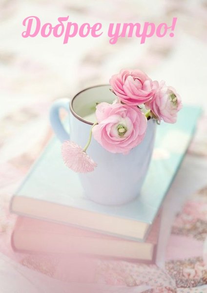 Цветы в пастельных тонах