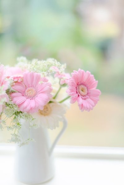 Цветы в пастельных тонах