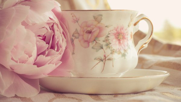 Нежные пионы