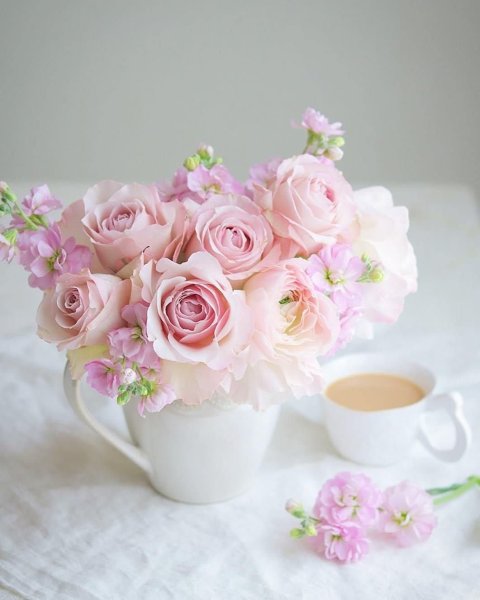 Цветок. Нежность