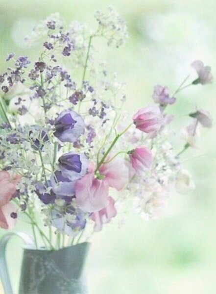 Полевые цветы в пастельных тонах