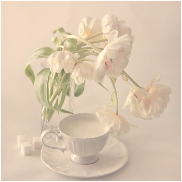 Натюрморт в светлых тонах