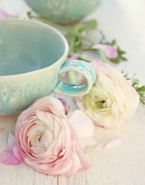 Нежное в чашке