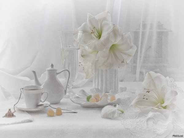 Гелена Гленкова Фотонатюрморты