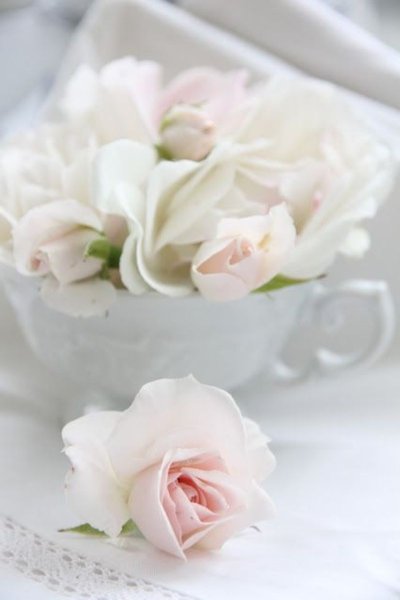 Белоснежная нежность