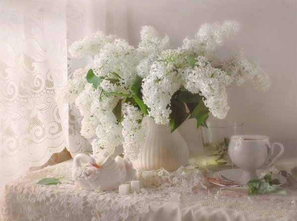 Луиза Гельтс шиповник