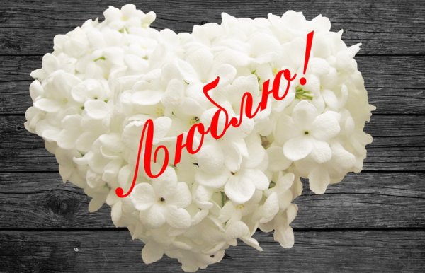 Валентинка из цветов