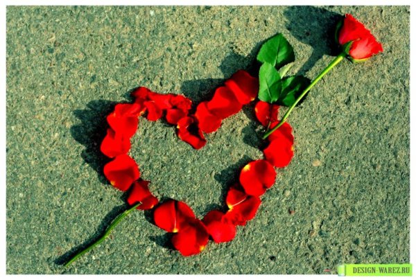 Очень красивое сердце