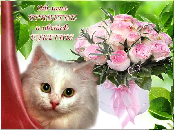 Приветик от меня букетик