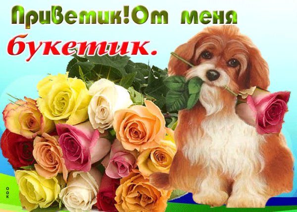 От меня тебе букетик и приветик