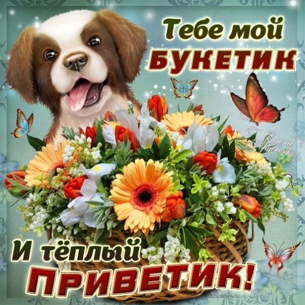 От меня тебе букетик и приветик