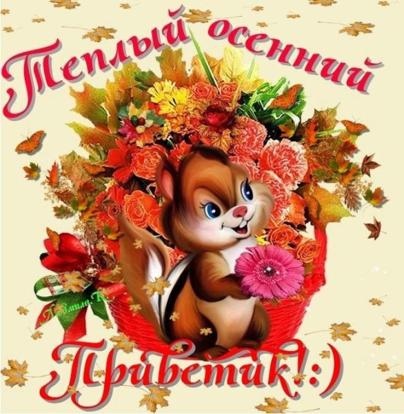 Открытки осенний приветик