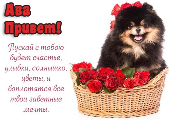 Открытки привет Аня