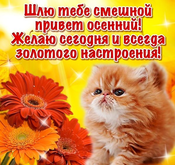 С приветом и добрыми пожеланиями