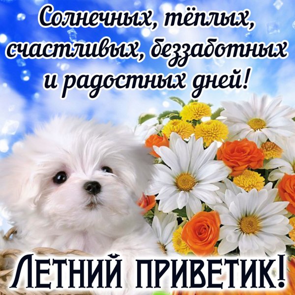 Большой привет и наилучшие пожелания