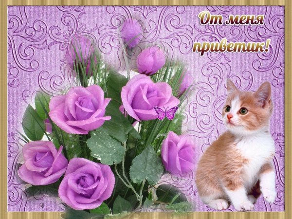 Красивые открытки от меня