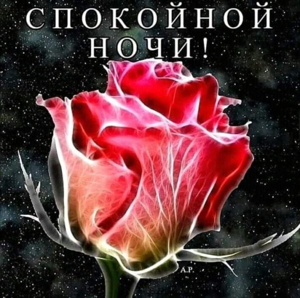 Цветы с пожеланием спокойной ночи