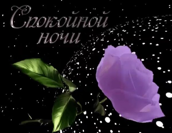 Спокойной ночи цветы
