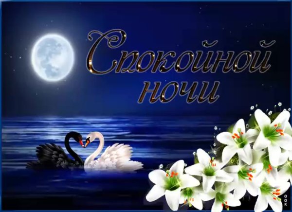 Спокойной ночи любимая