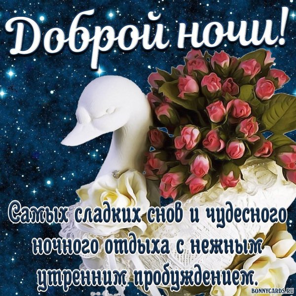 Цветы с пожеланием спокойной ночи