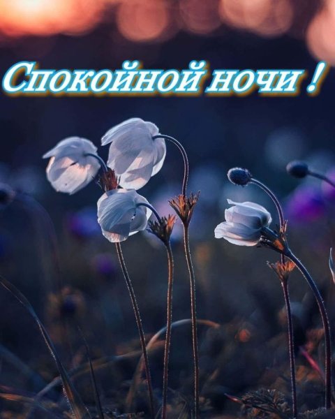 Спокойной весенней ночи