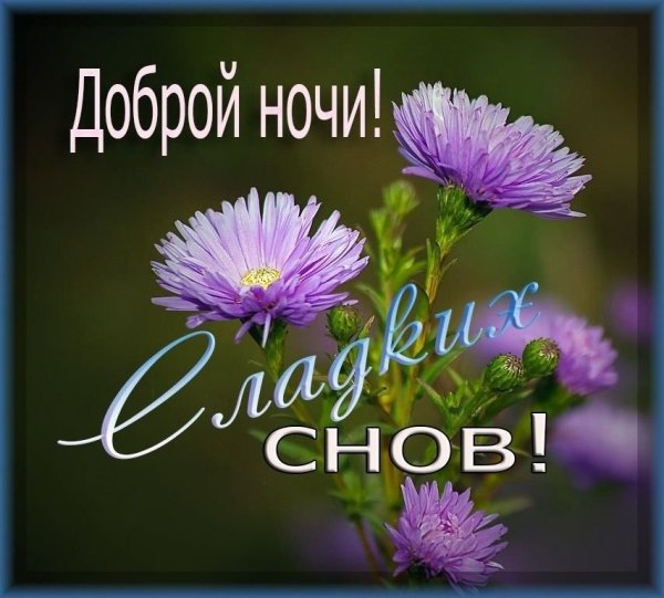 Спокойной ночи