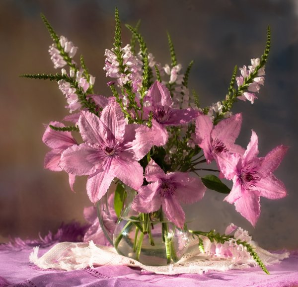 Нежный цветок