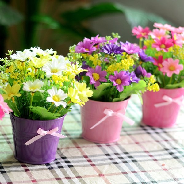 Маленькие цветы в горшках