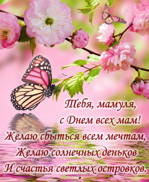 Поздравления с днём рождения маме