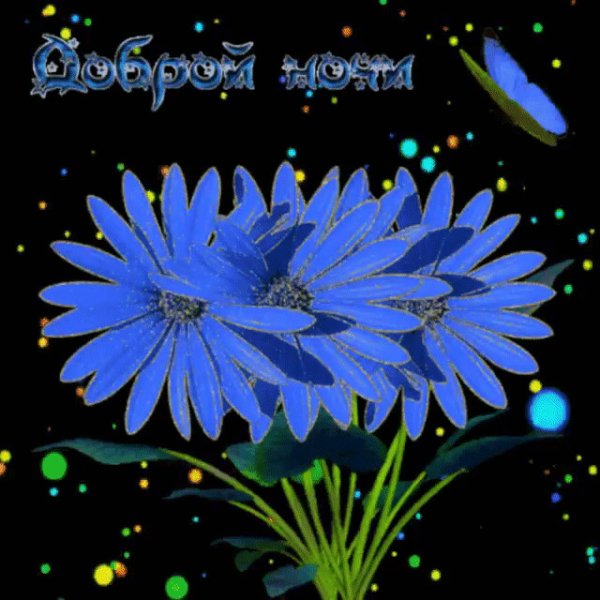 Спокойной ночи сладких снов красивые