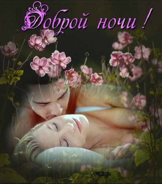 Спокойной ночи цветы