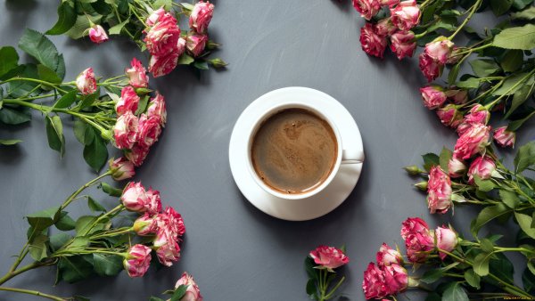 Изящные цветы и кофе