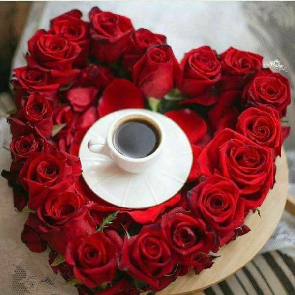 Доброе утро красные розы