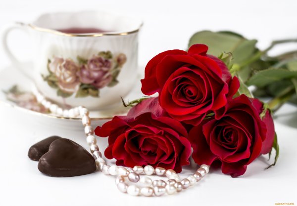 Доброе утро розы