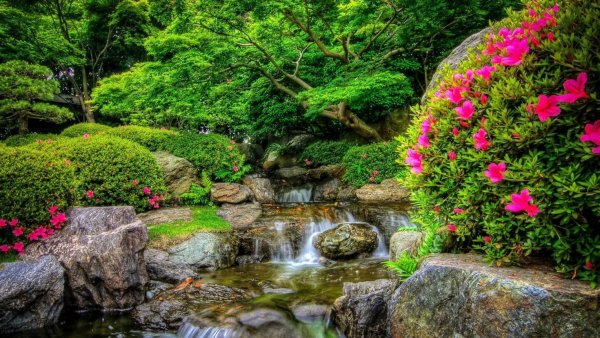 Природа водопад цветы