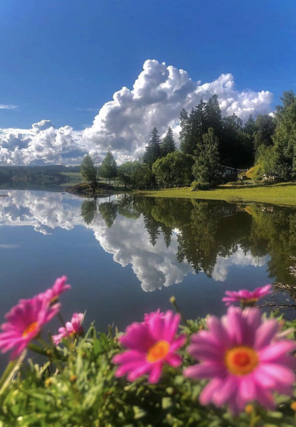 Летняя природа очень красивая