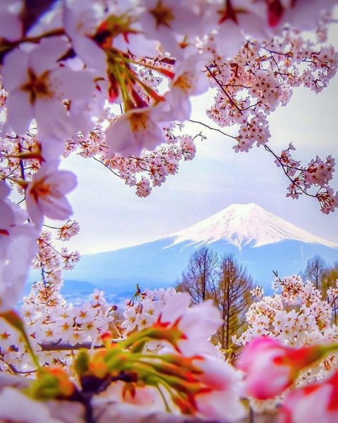 Красивая природа