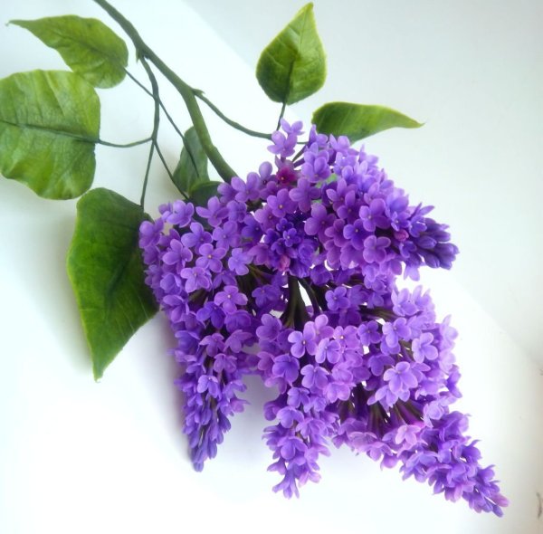 Аппликация сирень