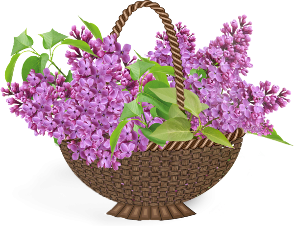 Эскиз сирени для вышивки лентами