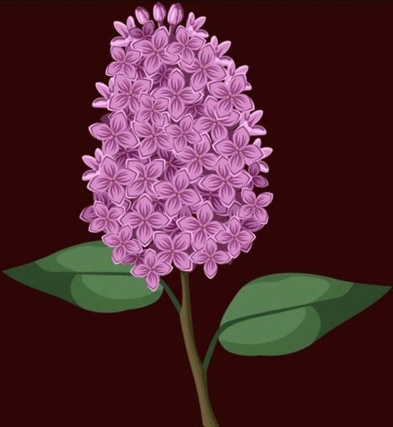 Веточка сирени