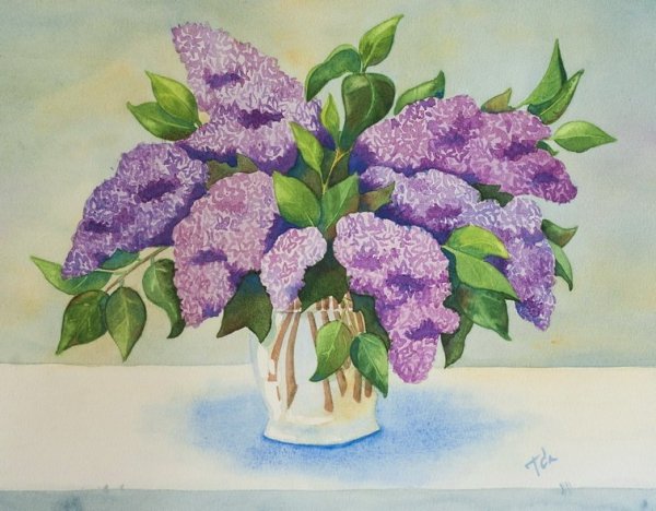 Сирень раскраска