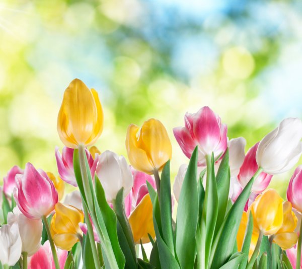 Весеннее настроение